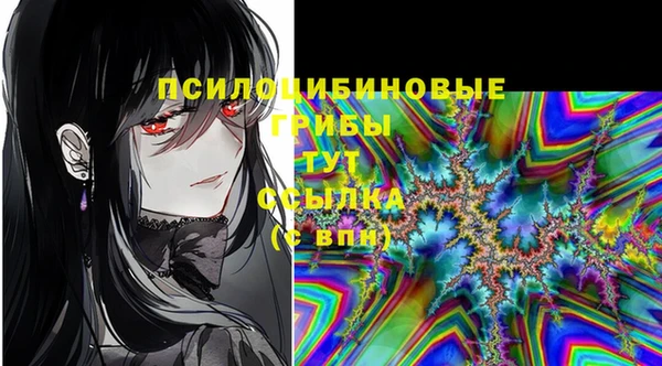 гашик Аркадак